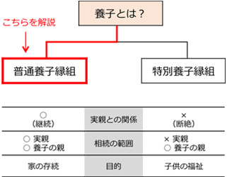 普通養子縁組と特別養子縁組